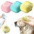 Lava Pelo Pet Escova Banho Cachorro Gato Dispenser Shampoo - comprar online