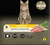 Ração Golden Gato Adulto Frango 3kg - Suporte Pet