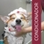 Condicionador Framboesa Pet Cachorro Gato Premium Banho- 1l - Suporte Pet