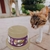 Comedouro Plastico Gato Super Cat Pote Ração Colorido - Suporte Pet