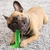 Brinquedo Mordedor Escova De Dente Cachorro Dog Pet Pequeno - loja online