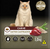 Ração Golden Gato Castrado Carne 1kg na internet