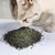 Catnip 50 Gramas Erva Para Gatos Natural Relaxante Chalesco na internet