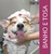 Shampoo Pet Cães Tutti Frutti Banho E Tosa Gato Premium- 1l na internet
