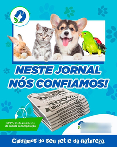 Jornal Pet 1000 Folhas na internet