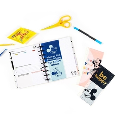 Envelopes Plásticos Classic - Disney Mickey & Minnie Mouse Colorblock - The Happy Planner na internet