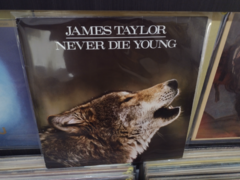 LP James Taylor - Never Die Young