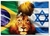 Ref B19 / Bandeira Brasil Noiva do Leão Israel