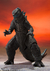 SH Monsterarts GODZILLA from Movie GODZILLA VS. KONG (2021)