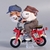 Figuras Goku y Maestro Roshi en Motocicletas