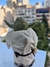 Figura de acción del Maestro Yoda - tienda online