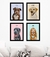 Composição pet art/pic art minimalista - 4 quadros com moldura e vidro