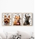 Composição pet art/pic art - 3 quadros com moldura e vidro - Gitt Decor