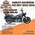 Harley-Davidson Fat Boy 2012/2012 impecável - comprar online