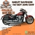 Harley Davidson Fat boy 2019/2019 - comprar online