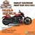 Harley Davidson Nigth Rod 2013/2013 - comprar online