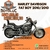 Harley Davidson Fat boy 2010/2010 - comprar online