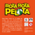 Rota Rota Pelota, ¡el juego de mesa que te hará correr! - comprar online