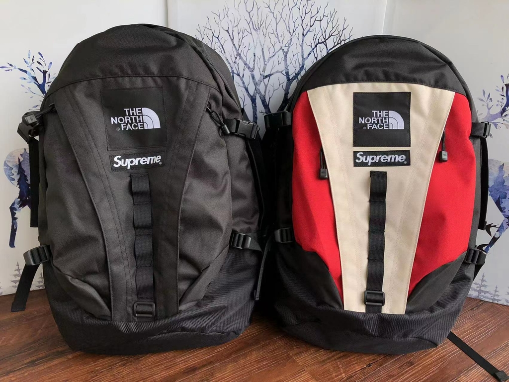 公式オンライン Supreme The North Face Backpack | www.qeyadah.com