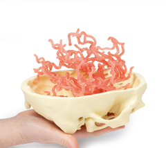 Modelo 3D de Circulação Arterial Craniana - comprar online