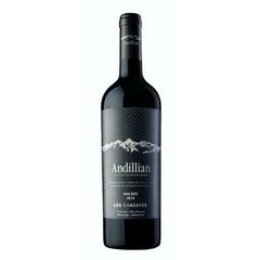 ANDILLIAN MALBEC LOS CHACAYES