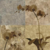 Orquídeas em Sépia - Impressão Fine-art em papel algodão. Medida da estampa: 40x33,5 cm