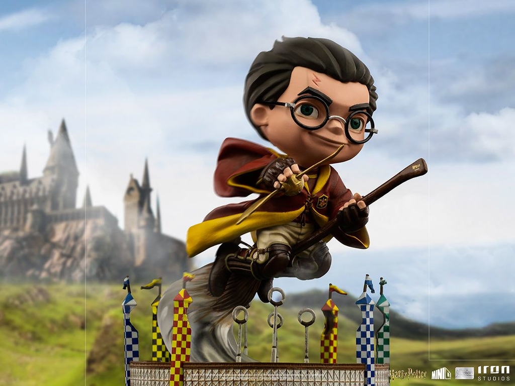 Partido quidditch sale harry potter