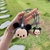 Fundas de Cargador Mickey & Minnie - comprar en línea
