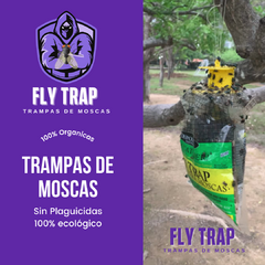 Trampas de Moscas "Domestica Desechable" 12 Pzas - Fly Trap México