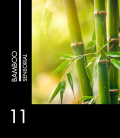 Sensorial 11 Bamboo - comprar online
