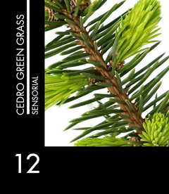 Sensorial 12 Cedro Green Grass - comprar online