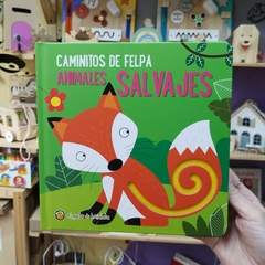 LIBRO CAMINITOS DE FELPA