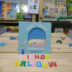 LIBRO VENTANAS ANIMADAS en internet