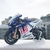 Moto Miniatura Yamaha M1 Moto GP | Escala 1:10 - loja online