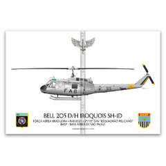 Bell 205 D/H Iroquois SH-1D, FAB 8531, 2º/10º GAV - Esquadrão Pelicano