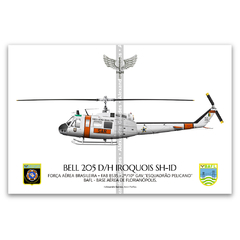 Bell 205 D/H Iroquois SH-1D, FAB 8535, 2º/10º GAV - Esquadrão Pelicano