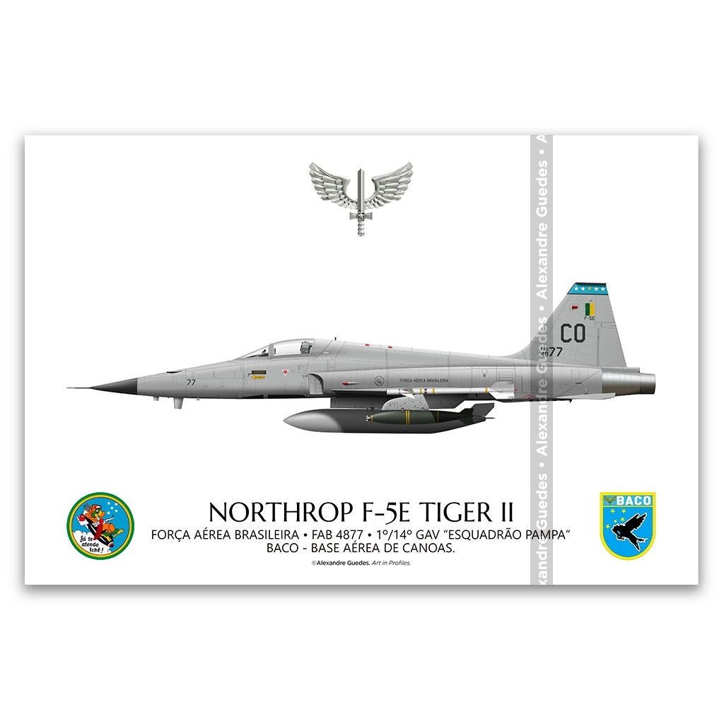 Armas Nacionais: Northrop F-5E Tiger II Agressores