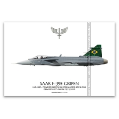 SAAB F-39E GRIPEN, FAB 4101, 1º GDA