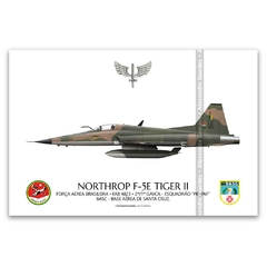 NORTHROP F-5E TIGER II, FAB 4823, 2º/1º GAVCA