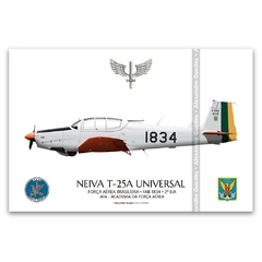 NEIVA T-25A UNIVERSAL, FAB 1834, AFA