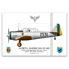 NORTH AMERICAN AT-6D, FAB 1531, ERA 51