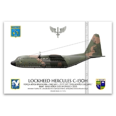 LOCKHEED HERCULES C-130E, FAB 2451