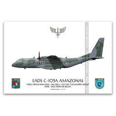 EADS C-105A AMAZONAS, FAB 2800, 1º/9º GAV