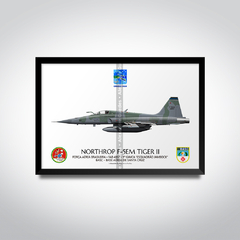 Northrop F-5EM Tiger II, FAB 4857, 1º GAVCA, CRUZEX 2024 - buy online