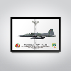 Northrop F-5EM Tiger II, FAB 4851, 1º GAVCA - comprar online