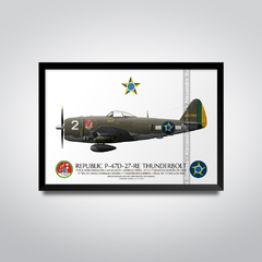 REPUBLIC P-47D-27-RE THUNDERBOLT, S/N 42-26783, Nº 2, 1º GAVCA - buy online