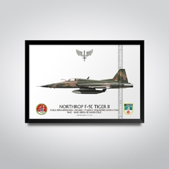 NORTHROP F-5E TIGER II, FAB 4832, 1º GAVCA - buy online