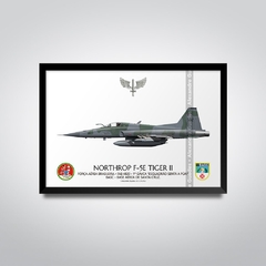 NORTHROP F-5EM TIGER II, FAB 4820, 1º GAVCA - comprar online