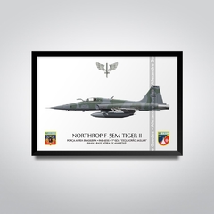 NORTHROP F-5EM TIGER II, FAB 4856, 1º GDA - comprar online