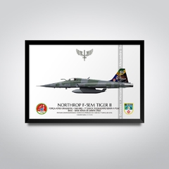 NORTHROP F-5EM TIGER II, FAB 4865, 1º GAVCA - buy online